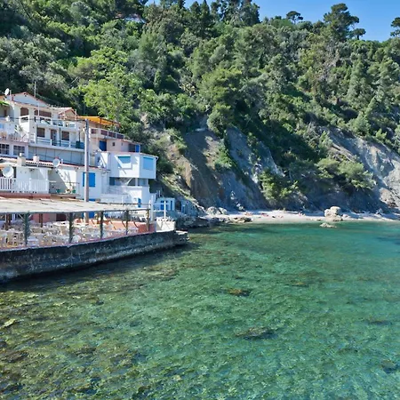 Le Mourillon Grand Proche Des Plages *