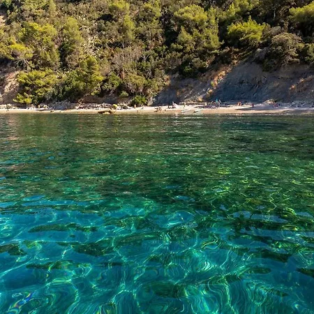 Le Mourillon Grand Proche Des Plages Tolón